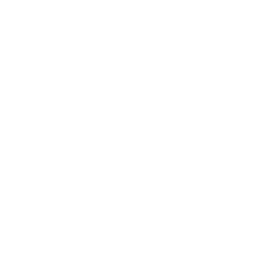 Visa Inc