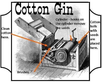 New - In 1794, U.S.-born inventor Eli Whitney (1765-1825) patented the cotton gin, a machine that revolutionized the production of cotton by greatly speeding up the process of removing seeds from cotton New - In 1794, U.S.-born inventor Eli Whitney (1765-1825) patented the cotton gin, a machine that revolutionized the production of cotton by greatly speeding up the process of removing seeds from cotton