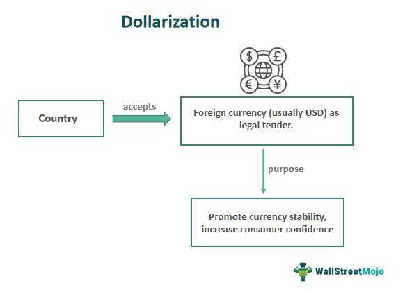 Dollarization - What Is It, Advantages, Disadvantages
